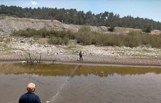 Balıklar ölmesin diye zamanla yarıştılar
