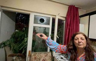 Balkonda kahve içerken üzerine ağaç devrildi