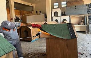 Bandırma Belediyesi’nden sokak hayvanlarına doğal...