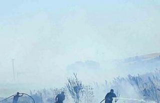 Bandırma-Bursa karayolunda arazi yangını kontrol...