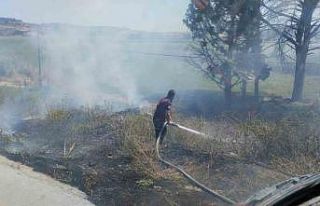 Bandırma’da farklı noktalarda çıkan ot ve çöp...