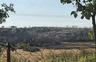 Başakşehir’de çalılık alanda yangın