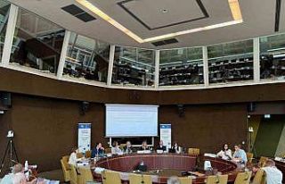 Başkan Arı; Avrupa Konseyi YBYK izleme komitesi...