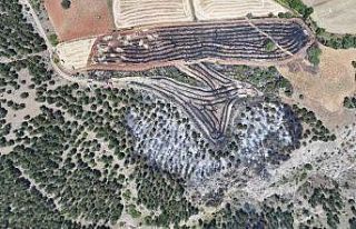 Başkan Arslan’dan yangın açıklaması