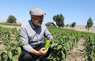 Başkan Çolakbayrakdar: Ata tohumlarımızı yaşatıyor,...
