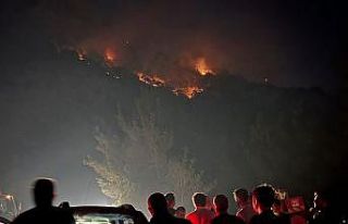 Başkan Yıldırım, yangın bölgesinde incelemeler...