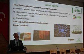 Batı Karadeniz Bölgesi’nin 20 yıllık ormancılık...