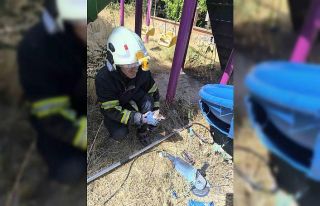 Batman’da kaydırağa sıkışan kediyi itfaiye...