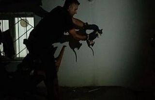 Batman’da lavabo borusuna sıkışan kediyi itfaiye...