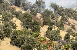 Batman’da örtü ve orman yangında bin dönüm...