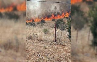 Batman’daki orman yangını kontrol altına alındı