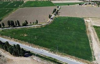 Battalgazi’de yerli üretimle yeşil alan seferberliği