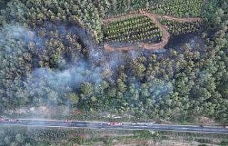 Bayramiç’teki orman yangını kontrol altına alındı