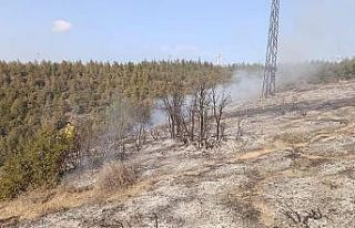 Belen’de ormanlık alanda yangın çıktı