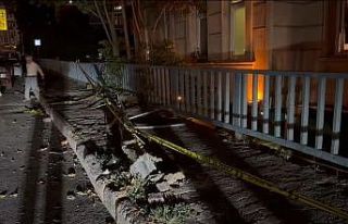 Beyoğlu’nda minibüs otobüse çarptı: 2’si...