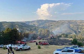 Beypazarı’nda 15 dönüm ekili alan yandı