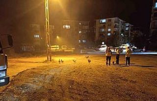 Beypazarı’nda kümes yangını: 41 tavuk telef...