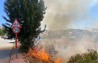 Beyşehir’de alevler bahçelere ulaşmadan söndürüldü