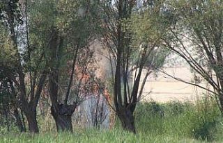 Beyşehir’de biçerdöverde yangın paniği