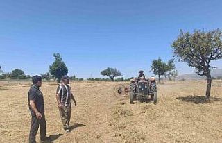 Beyşehir’de hibe destekli ekilen yem bitkilerinde...