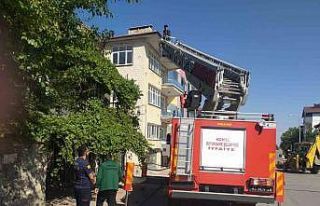 Beyşehir’de itfaiyenin kedi kurtarma seferberliği