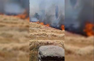 Beyşehir’de korkutan anız yangını, evlere sıçramadan...
