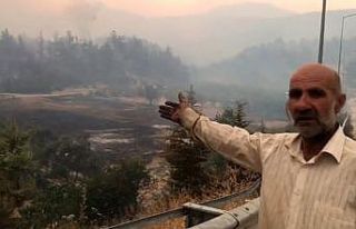 Bilecik’te alevler yeniden yükseldi, zeytinliği...