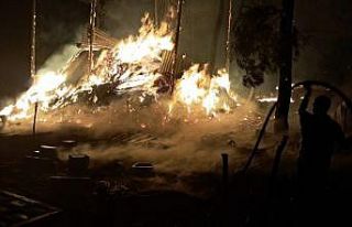 Bilecik’te bir orman yangını daha başladı