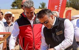 Bilecik’te bu yıl 75 bin 104 ton buğday hasadı...