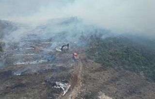 Bilecik’te çıkan orman yangının bıraktığı...