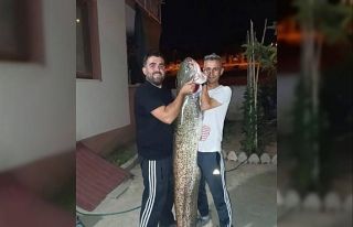 Bilecik’te dev yayın balığını tutuldu