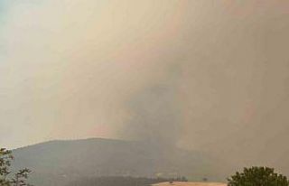 Bilecik’te orman yangını kısmen kontrol alındı