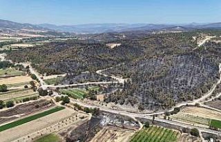 Bilecik’te yanan ormanlık ve kırsal alan havadan...