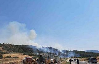 Bilecik’te yeni orman yangını