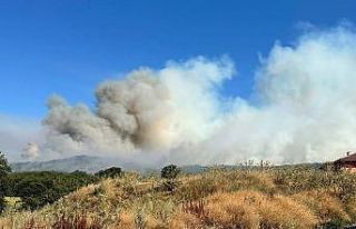 Bilecik’teki orman yangınına müdahale devam ediyor