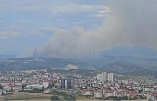 Bilecik’teki orman yangınına müdahale sürüyor:...