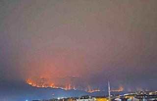 Bilecik’teki yangında alevler ilçe merkezine doğru...