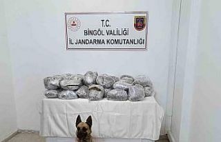 Bingöl’de 49 kilo esrar ele geçirildi