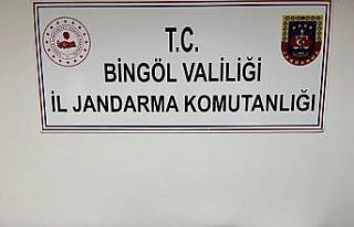 Bingöl’de 4 adet ruhsatsız silah ele geçirildi