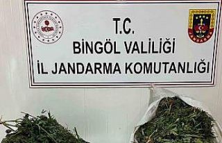 Bingöl’de bagajda ele geçirilen yaklaşık 18...