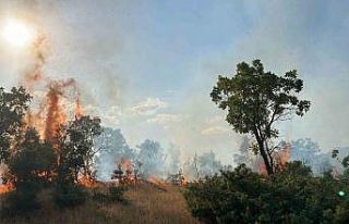 Bingöl’de çıkan orman yangınları söndürüldü