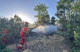 Bingöl’de orman yangını kontrol altına alındı