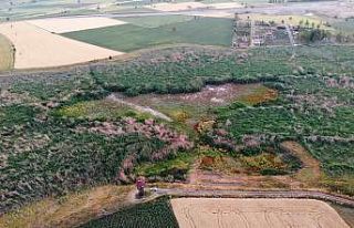Binlerce kuşa ev sahipliği yapan sulak alan tamamen...