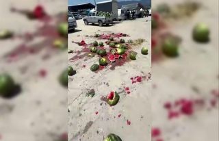 Bir römork dolusu karpuzu pazarın ortasında yere...