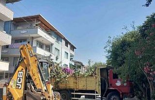 Bitkisel atıklar komposta dönüştürülerek geri...