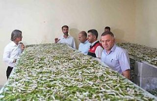 "Böcekle mi uğraşacaksın" sözlerine...