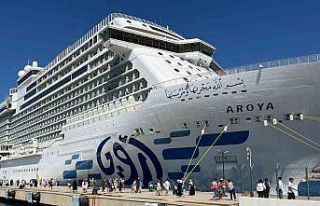 Bodrum’a gemiyle 2 bin 241 yolcuyla geldi