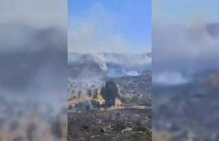 Bodrum’da otluk alanda çıkan yangın kısa sürede...