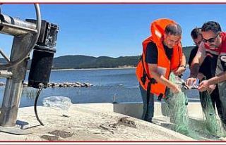 Bolu’da 2.5 kilometrelik kaçak ağ ele geçirildi