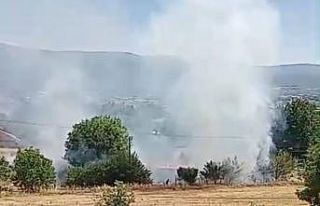 Bolu’da anız yangını korkuttu